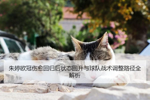 朱婷欧冠伤愈回归后状态回升与球队战术调整路径全解析